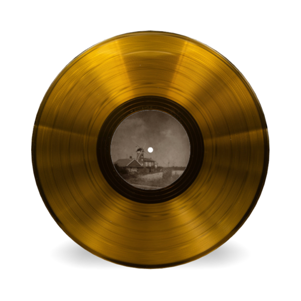 mockup@1x (19) Coloma Gold Rush Vinyl